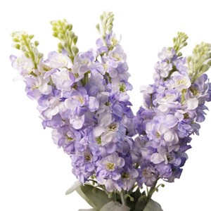 S623 Jacinto <span class=keywords><strong>Orientalis</strong></span> Artificial de Látex de Alta Calidad, Ecológico y Hecho a Mano - Product Image 1