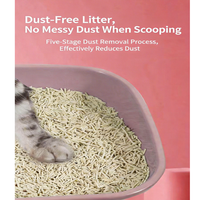 Litière pour chat biodégradable et jetable aux toilettes, 6L, en vrac, naturelle, à absorption rapide, agglomérante, écologique, pour animaleries, vente en gros