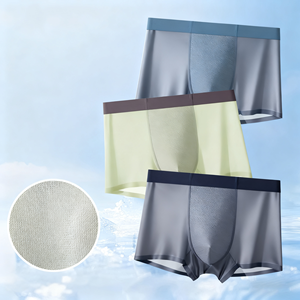 Boxers pour hommes en <span class=keywords><strong>soie</strong></span> de glace unie taille moyenne personnalisés, antibactériens, sans couture, pantalons d'angle carrés pour hommes - Product Image 6