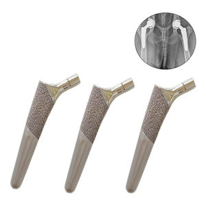Femorale Stam Heupimplantaat Vervanging Mini Professionele Medische Implantaten Titanium Veterinaire Orthopedische - Product Image 1