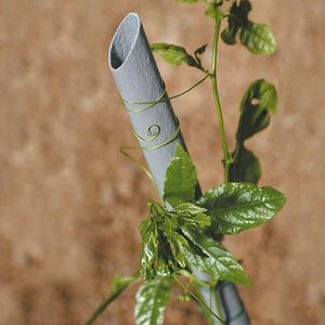 Supporto in Plastica per Ortaggi h 1,80 m - 27 mm - Product Image 3