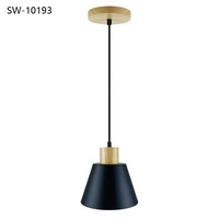 Lampes suspendues de chevet de haute qualité 220V, style nordique moderne, noir Art Déco, luminaires suspendus pour îlot de cuisine et salon
