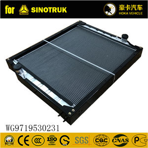 SINOTRUK <span class=keywords><strong>HOWO</strong></span> ट्रक स्पेयर पार्ट्स इंजन रेडिएटर WG9719530231 - Product Image 6