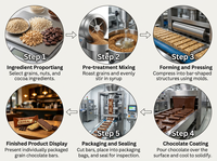 Barre de céréales au chocolat et à la noix de coco, chia et flocons d'avoine, faible en glucides, riche en protéines, marque privée OEM