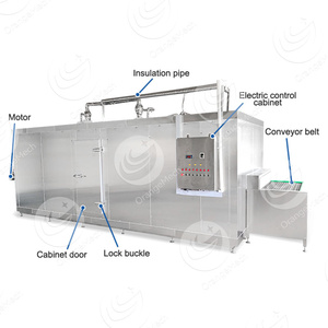 Cinta transportadora de patatas fritas congeladas individuales ORME congelador rápido fresa máquina de congelación rápida - Product Image 2