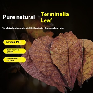 Groothandel Natuurlijke Elemi Bladeren Materiaal Antibacteriële Waterzuivering Bladeren - Product Image 2