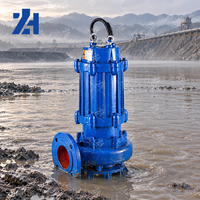 Pompe submersible électrique à haut débit, résistante à l'usure, en acier chromé, pour la recirculation de l'eau des fosses de rejet