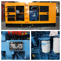 Groupe électrogène diesel silencieux Yuchai 200 kW 250 kVA abordable, insonorisé, pour l'alimentation de secours des usines industrielles et l'agriculture
