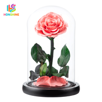 Hot verkopende Valentijnsdag/Moederdag cadeaus: geconserveerde roos in acryl cadeaudoos voor thuis/bruiloft decoratie bloem