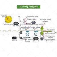 Tortilla brood verse bladgroente verpakkingsmachine voor flow wrapping en kartonnen verpakkingen voor koekjes