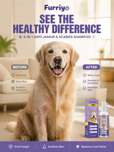 Spray per la Cura degli Animali Domestici 4 in 1 Delicato Senza Risciacquo, Antifungino e Antiacaro, Lenisce la Pelle Irritata di Cani e <span class=keywords><strong>Gatti</strong></span>, Trattamento Quotidiano per la Pelle degli Animali - Product Image 2