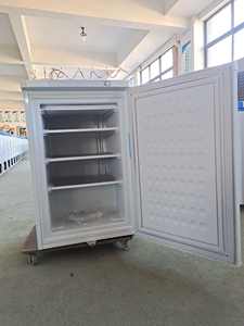 100L 12 V DC שמש דלת אחת מקרר מקרר עם 100 W פנל סולארי 100Ah סוללה - Product Image 5