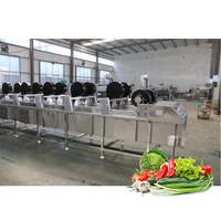 Leadworld Fruit Groente Sorteren Wassen Snijden Bevroren Productielijn Bevroren Groente Wasmachine Verwerking Lijn