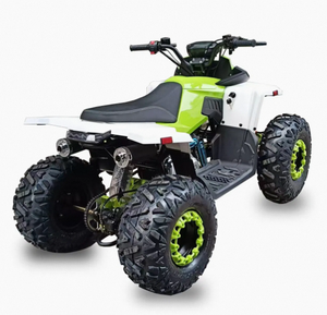 รถเอทีวีควอดไบค์แบบอัตโนมัติ รุ่นใหม่ 300 ซีซี 4 จังหวะ DIY OEM/ODM พร้อมแฮนด์พลาสติก ความเร็วสูงสุด 60 กม./ชม. สำหรับขับขี่ออฟโรดและการผจญภัย - Product Image 5
