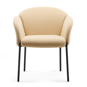 Pieds métalliques de styliste d'<span class=keywords><strong>italie</strong></span>, chaise de loisirs, ensemble de meubles de salon, restaurant, couloir, offre spéciale - Product Image 3