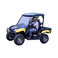 UTV électrique tout-terrain 4X4 pour l'agriculture Buggy Dune avec transmission automatique Tension 60v pour adultes Certifié CEE