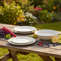 Service de table en porcelaine fine de 24 pièces / Ensemble d'assiettes pour 6 personnes, idéal pour hôtels et restaurants