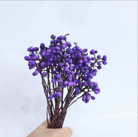 Nouvelles Fleurs Séchées 2026, Baies Blanches Préservées, Écologiques, Toucher Naturel pour la Maison, Fête des Mères, Noël