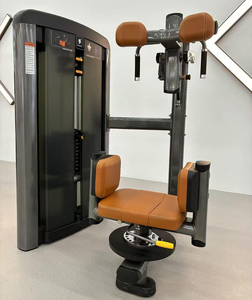 Vente directe usine : Appareil de musculation rotatif pour le tronc, à charge par poulies, équipement de qualité supérieure pour salle de sport - Product Image 5