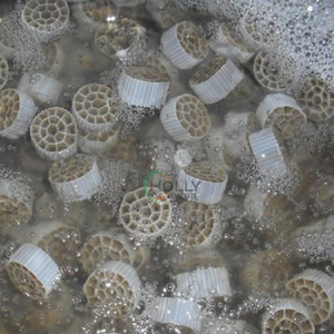 Chất lượng cao K1 <span class=keywords><strong>mbbr</strong></span> pe02 phương tiện truyền thông <span class=keywords><strong>mbbr</strong></span> Bio Lọc phương tiện truyền thông xử lý nước thải <span class=keywords><strong>mbbr</strong></span> Lọc phương tiện truyền thông - Product Image 5