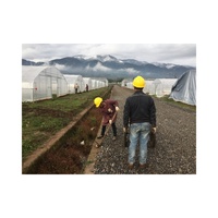 Serre tunnel simple en PE à prix abordable, facile à assembler, vente en gros d'usine pour les fournisseurs agricoles mondiaux