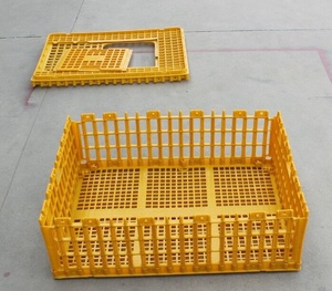 <span class=keywords><strong>ลัง</strong></span>พลาสติกขนาด 750*550*330 มม. สำหรับขนส่งไก่ เป็ด นกกระทา รุ่น HJ-DN016 - Product Image 5