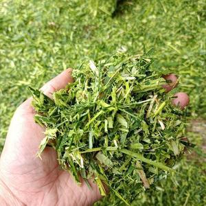 Nouveau Broyeur Électrique pour la broyage de pailles sèches/humides, de herbe, de soie, de paille de bétail/ovin, de maïs, de tiges – Capacité de 1-2 tonnes/heure - Product Image 6