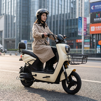 Vélo électrique chinois classique de 14 pouces, moteur arrière sans balais 500W, affichage numérique 3 vitesses, batterie plomb-acide longue portée, cadre en acier