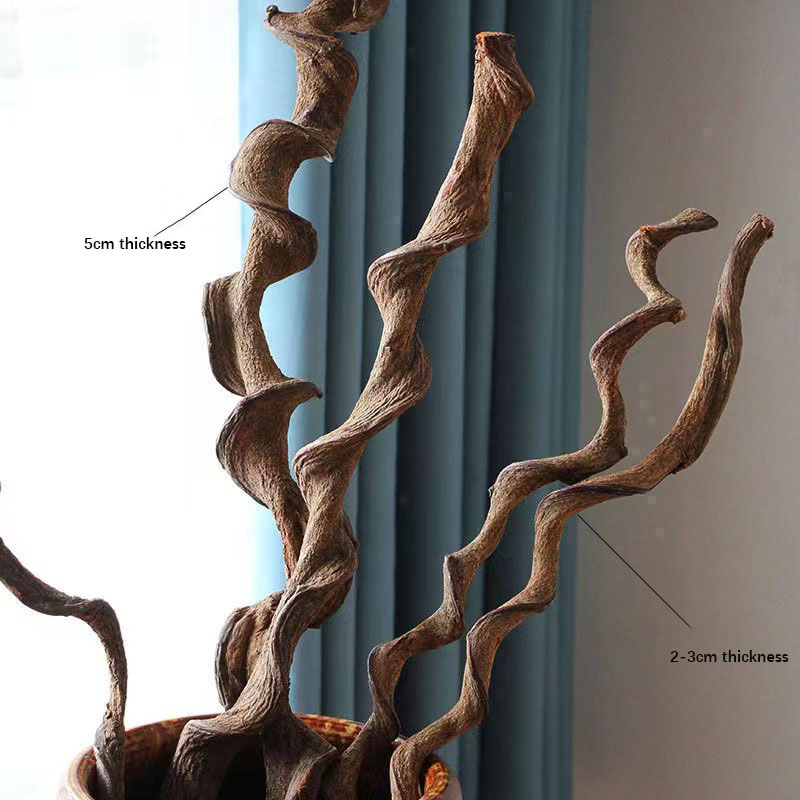 100cm, 4-5cm thickess