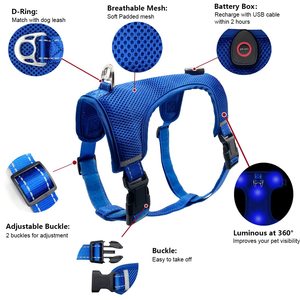 Harnais <span class=keywords><strong>pour</strong></span> chien LED lumineux réglable en nylon personnalisé, fabriqué en usine BSCI, <span class=keywords><strong>pour</strong></span> la sécurité nocturne, gilet lumineux <span class=keywords><strong>pour</strong></span> chien - Product Image 2