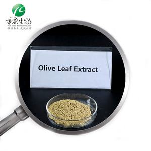 Populaire Olijfbladextract 5%-80% Oleuropein Hplc Hydroxytyrosol 5% 60% - Product Image 2