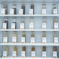 Extrait de levure de qualité alimentaire en poudre, extrait végétal, additif alimentaire, extrait de plante
