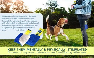 Dog Nosework <strong>Kit</strong> Sachet Brain Games Seek Dog <strong>Sniffing</strong> Toys Brain Games Fun Nose Work Scent Training <strong>Kit</strong> Dog Nose Work <strong>Kit</strong> - Product Image 4
