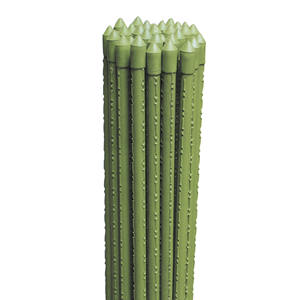 Bastón de Metal Recubierto de Plástico de 180 cm - Product Image 1