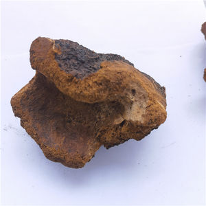 Bai hua rong органические сибирские чуги, Чупсы, минонус обликус, гриб - Product Image 4