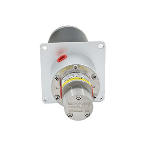 ปั๊มเกียร์แม่เหล็กขนาดเล็ก 60W 0.6 มล./รอบ 316L PEEK 24V ป้องกันการรั่วไหล ไม่ต้องบำรุงรักษา ใช้ได้กับแอลกอฮอล์ - Product Image 1