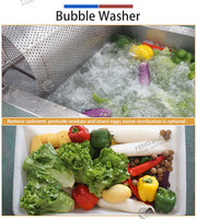 Aangepaste Triple Action Air Bubble groente- en fruitwasmachine met roterende trommel en sproeisysteem CE WA-2000