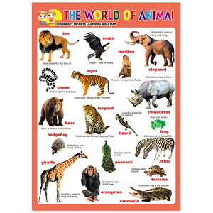 Affiche d'enseignement bon marché d'usine Formes et couleurs interactives <span class=keywords><strong>Tableau</strong></span> <span class=keywords><strong>mural</strong></span> en relief pour l'éducation des enfants - Product Image 3