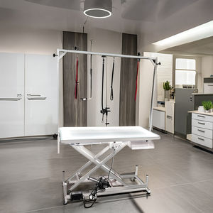 स्टेनलेस स्टील चमकदार इलेक्ट्रिक सौंदर्य टेबल पालतू सौंदर्य टेबल पालतू सौंदर्य उत्पाद बिजली उठाने वाले उत्पाद इलेक्ट्रिक उठाने के लिए - Product Image 2