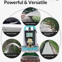 Pompe submersible agricole en acier inoxydable 48V DC ; 12V/48V/60V haute performance pour véhicules électriques et usage domestique