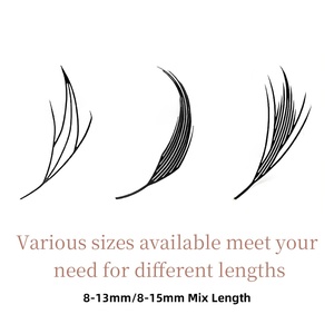 Extensiones de Pestañas de Espiral Cómica Pre-fabricadas, Súper Suaves, de 12 Filas, de 8-15 mm, con Logotipo Personalizado Pinky Leem, para Salón de Belleza - Product Image 5