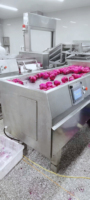 Verkoop van aardappel schilmachines, commerciële fruit- en groenteschilmachines, hoog rendement voedselverwerkingsapparatuur voor restaurants