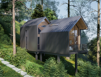 Maison préfabriquée en conteneur facile à installer, villa moderne en bois miniature, cabane de vacances, fournisseur chinois