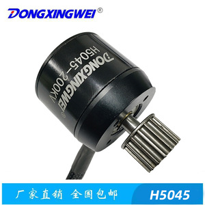 มอเตอร์ไร้แปรงถ่าน Dongxingwei H2042-500KA DC ขนาด 42 มม. แบบยึดหน้าแปลน มอเตอร์แม่เหล็กถาวรขนาดเล็กสำหรับจักรยานไฟฟ้า - Product Image 5