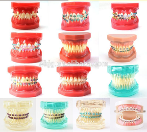 Denti trasparenti per malattie di impianti dentali modello dentista trasparente Standard patologico - Product Image 4