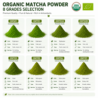 Poudre de Matcha Biologique de Qualité Cuisine pour la Cuisson, la Pâtisserie et les Desserts, Certifiée USDA et UE, Vente en Gros en Vrac, Qualité AAA