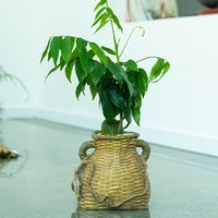 Pot de fleurs créatif en résine en forme de panier à poissons, jardinière multifonctionnelle pour plantes succulentes, décoration artisanale pour la maison de style ferme