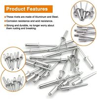 100 buah 6 ukuran aluminium Blind paku keling bermacam-macam Kit 3/16 "X (5/16" 3/8 "1/2" 5/8 "3/4" 1 ") (perak)