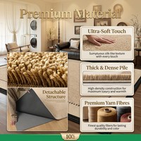 Tapis de salon beige de luxe discret, tapis de zone personnalisé à bordure noire, antidérapant, durable, lavable, en polyester, pour la maison, OEM