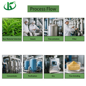 Kedeyi <span class=keywords><strong>Kaempferia</strong></span> <span class=keywords><strong>Galanga</strong></span>エキス98% 天然Kaempferolパウダー - Product Image 5